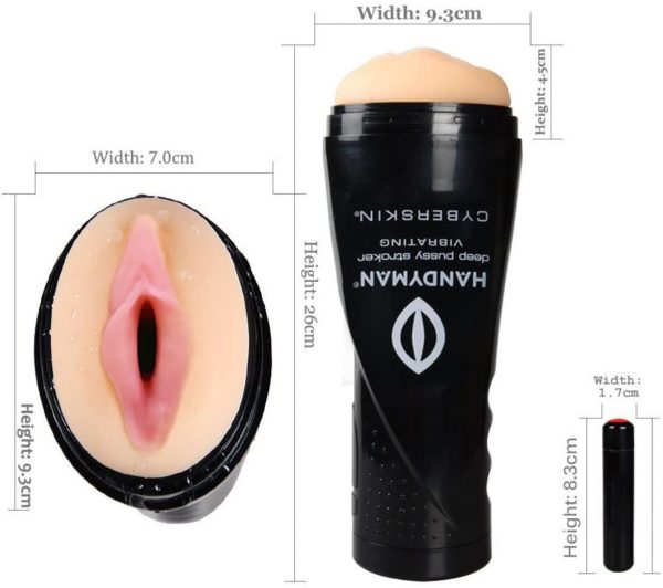 61qodspglHL. AC SL1011